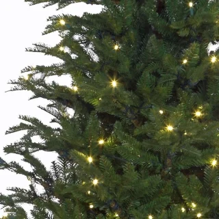 Black Box Trees Frasier Kunstkerstboom 155 cm Groen