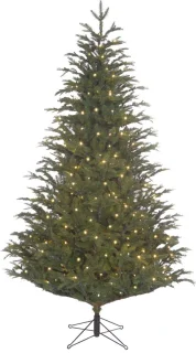 Black Box Trees Frasier Kunstkerstboom 155 cm Groen