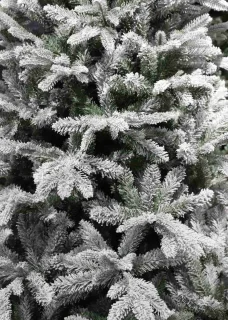 Black Box Trees Frasier Kunstkerstboom 155 cm Groen