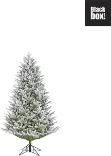 Black Box Trees Frasier Kunstkerstboom 155 cm Groen