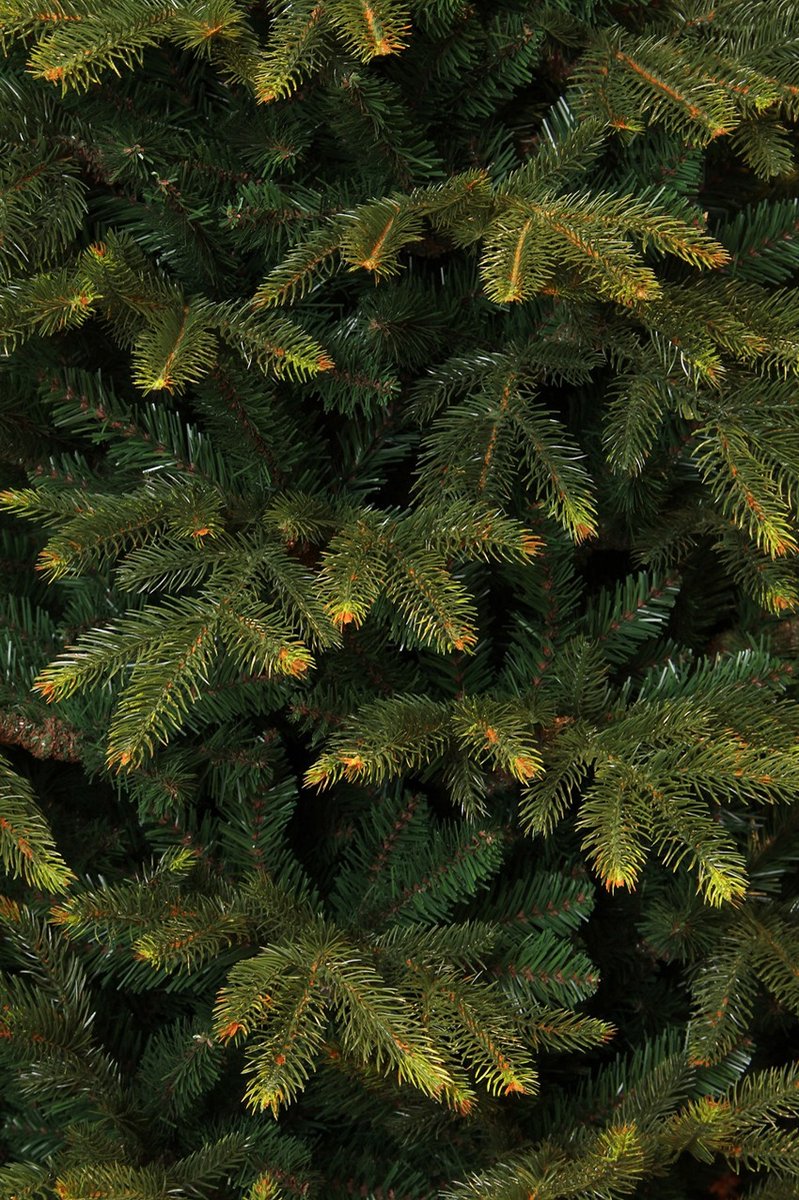 Black Box Trees Frasier Kunstkerstboom 155 cm Groen
