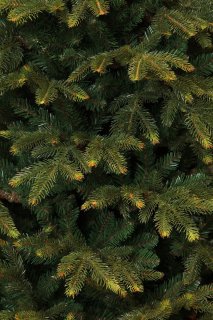 Black Box Trees Frasier Kunstkerstboom 155 cm Groen
