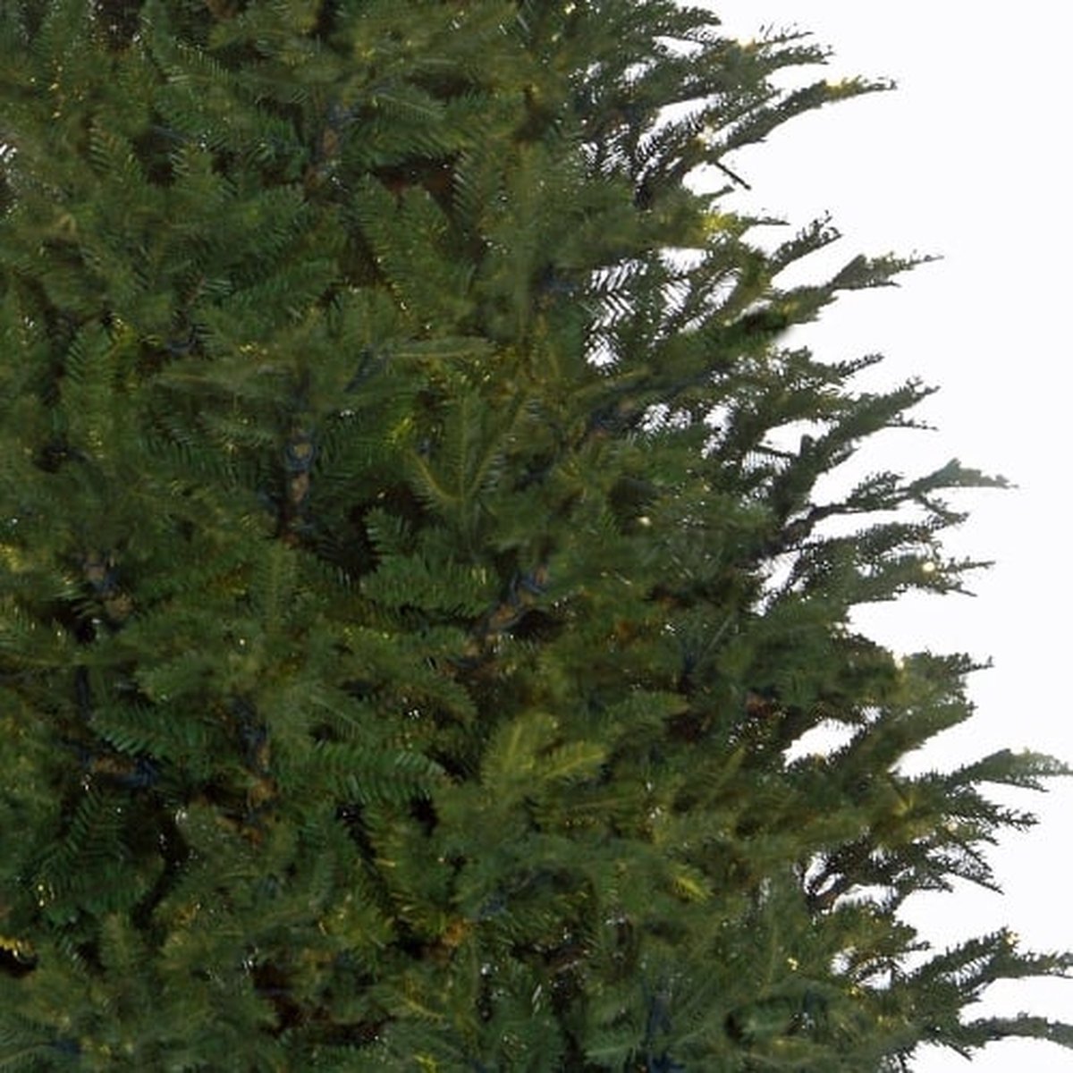 Black Box Trees Frasier Kunstkerstboom 185 cm Groen