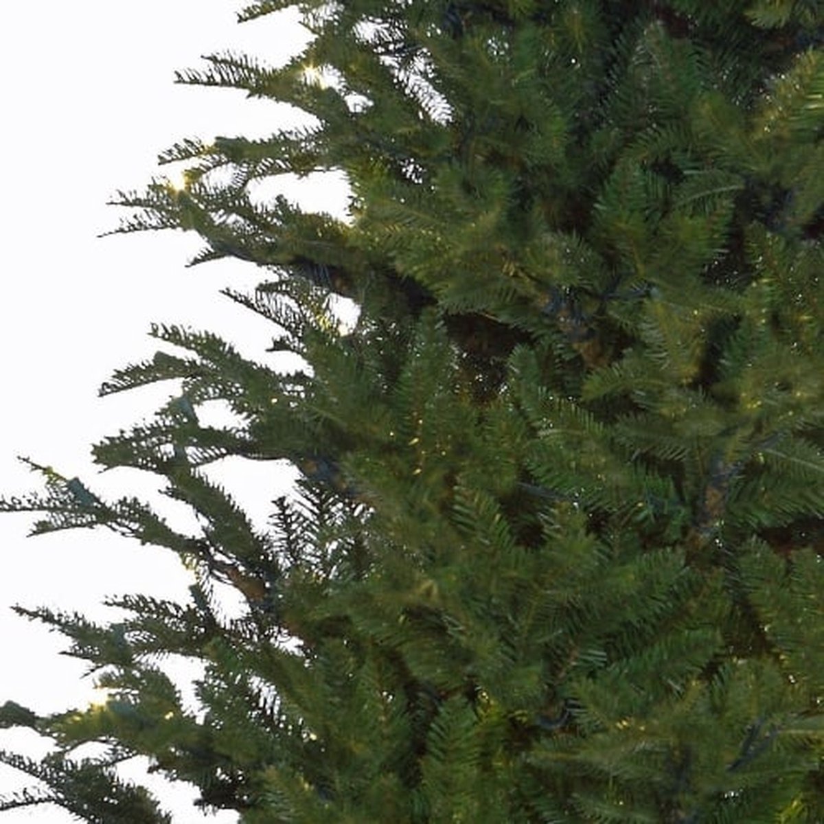 Black Box Trees Frasier Kunstkerstboom 185 cm Groen
