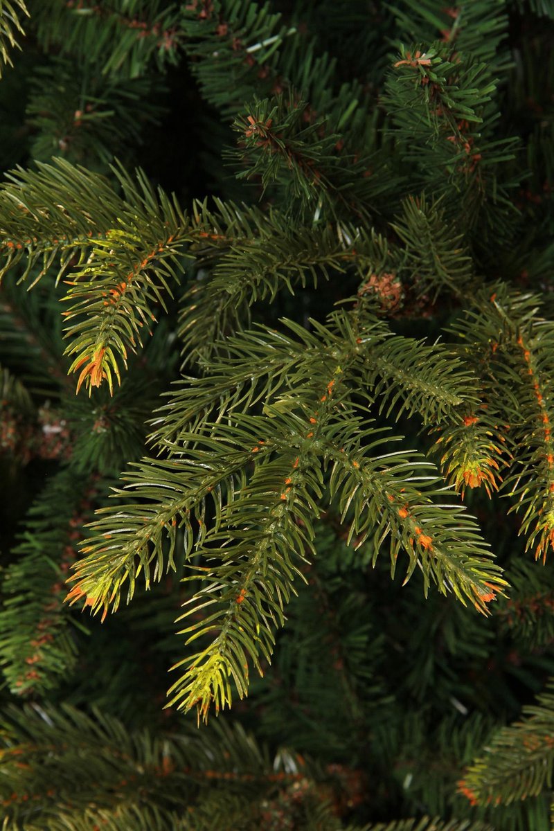 Black Box Trees Frasier Kunstkerstboom 185 cm Groen