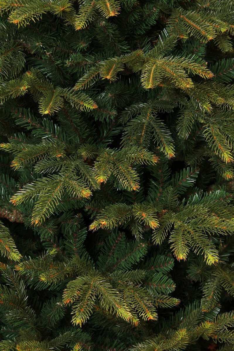 Black Box Trees Frasier Kunstkerstboom 185 cm Groen