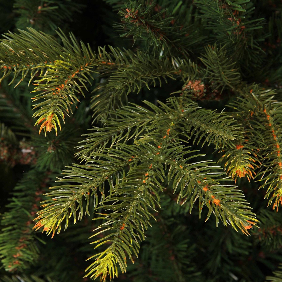Black Box Trees Frasier Kunstkerstboom 185 cm Groen