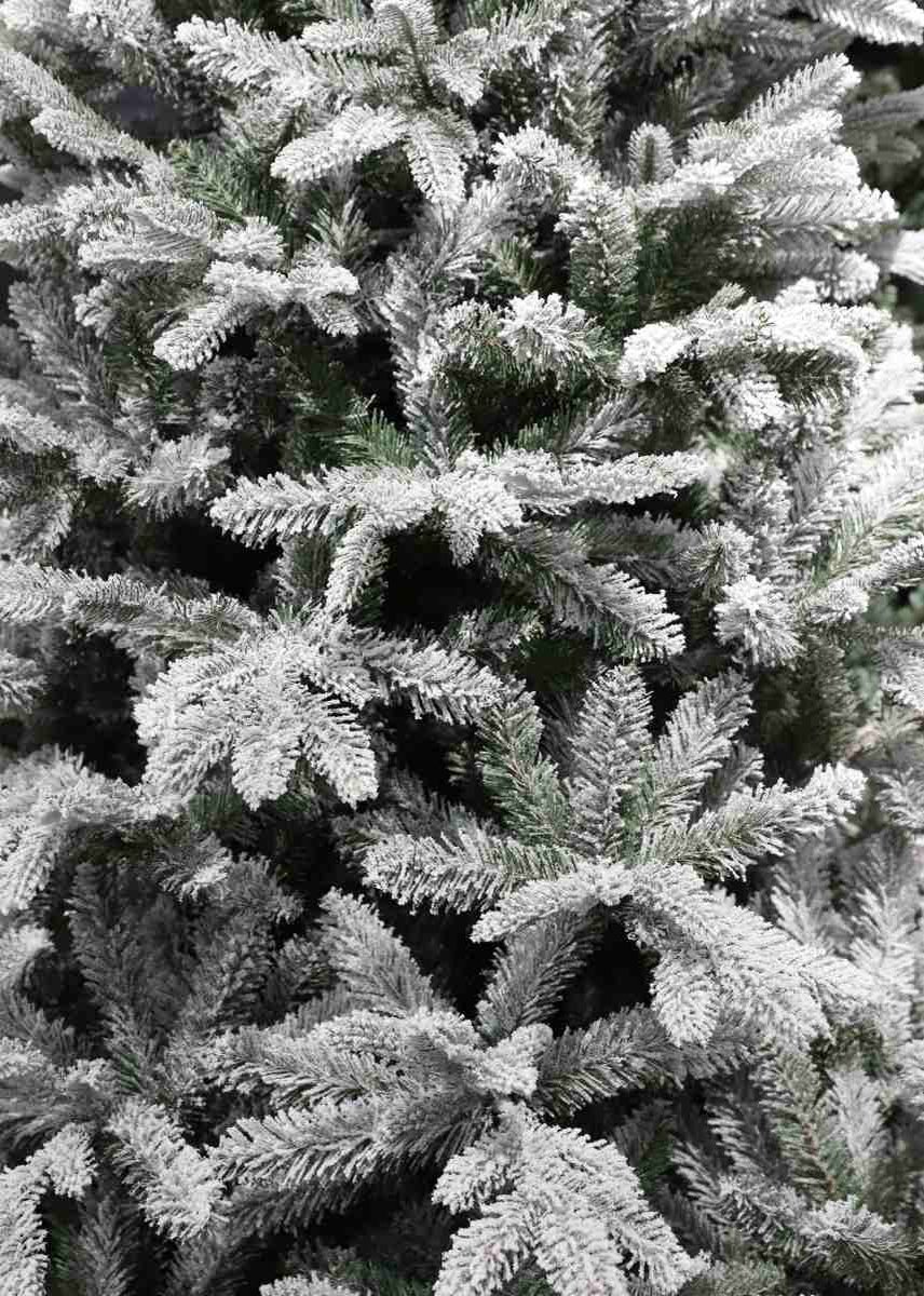 Black Box Trees Frasier Kunstkerstboom 185 cm Groen