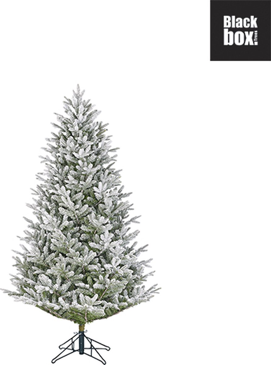 Black Box Trees Frasier Kunstkerstboom 185 cm Groen