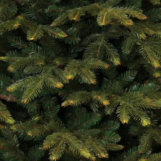 Black Box Trees Frasier Kunstkerstboom 215 cm Groen
