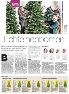 Black Box Trees Frasier Kunstkerstboom 215 cm Groen