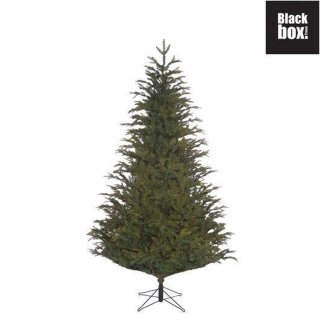 Black Box Trees Frasier Kunstkerstboom 215 cm Groen
