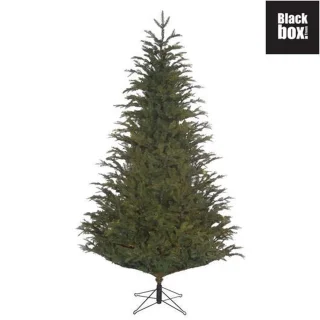 Black Box Trees Frasier Kunstkerstboom 215 cm Groen