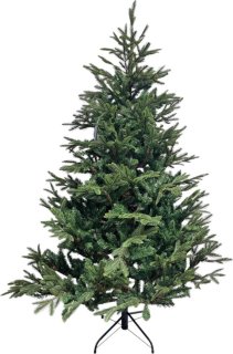 Black Box Trees Frasier Kunstkerstboom 215 cm Groen