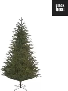 Black Box Trees Frasier Kunstkerstboom 215 cm Groen