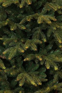Black Box Trees Frasier Kunstkerstboom 215 cm Groen