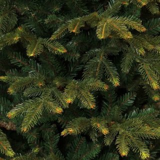Black Box Trees Frasier Kunstkerstboom 215 cm Groen