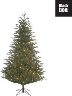 Black Box Trees Frasier Kunstkerstboom 215 cm