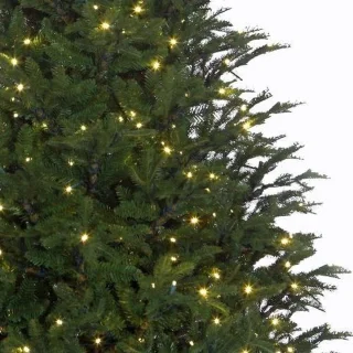 Black Box Trees Frasier Kunstkerstboom 230 cm groen