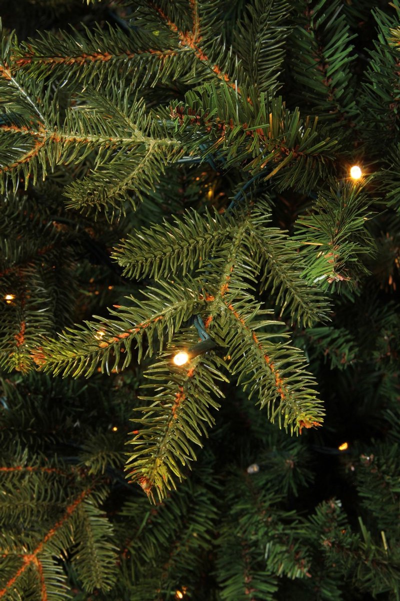 Black Box Trees Frasier Kunstkerstboom H120 cm groen