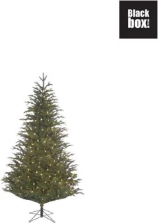 Black Box Trees Frasier Kunstkerstboom H120 cm groen