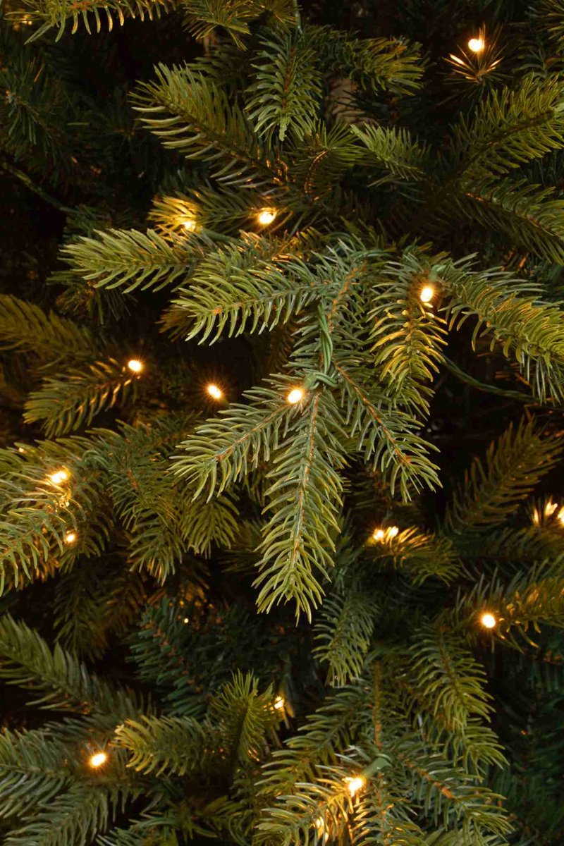 Black Box Trees Grimshaw Kunstkerstboom 155 cm Groen PVC