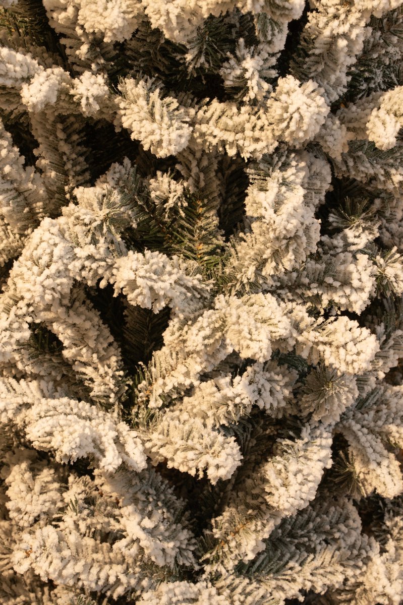 Black Box Trees Harma Kunstkerstboom 230 cm Groen Frosted
