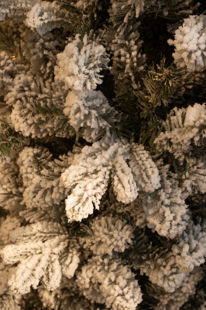Black Box Trees Harma Kunstkerstboom 230 cm Groen Frosted