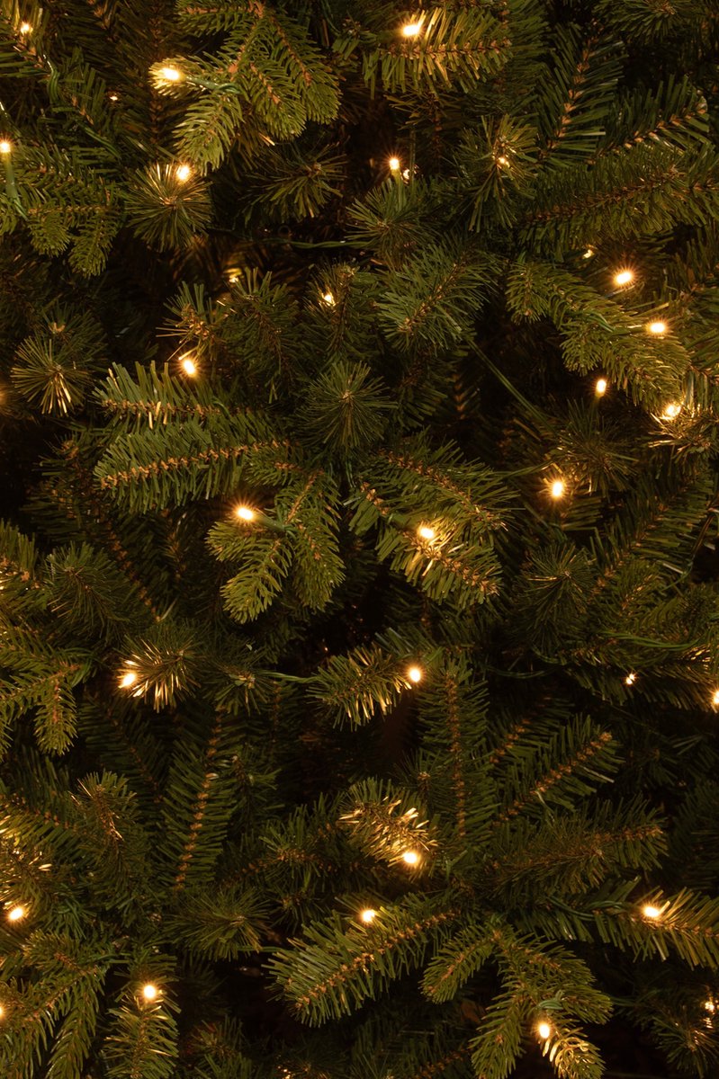 Black Box Trees Harma Kunstkerstboom LED 215 cm Groen