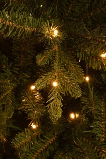 Black Box Trees Harma Kunstkerstboom LED 260 cm Groen