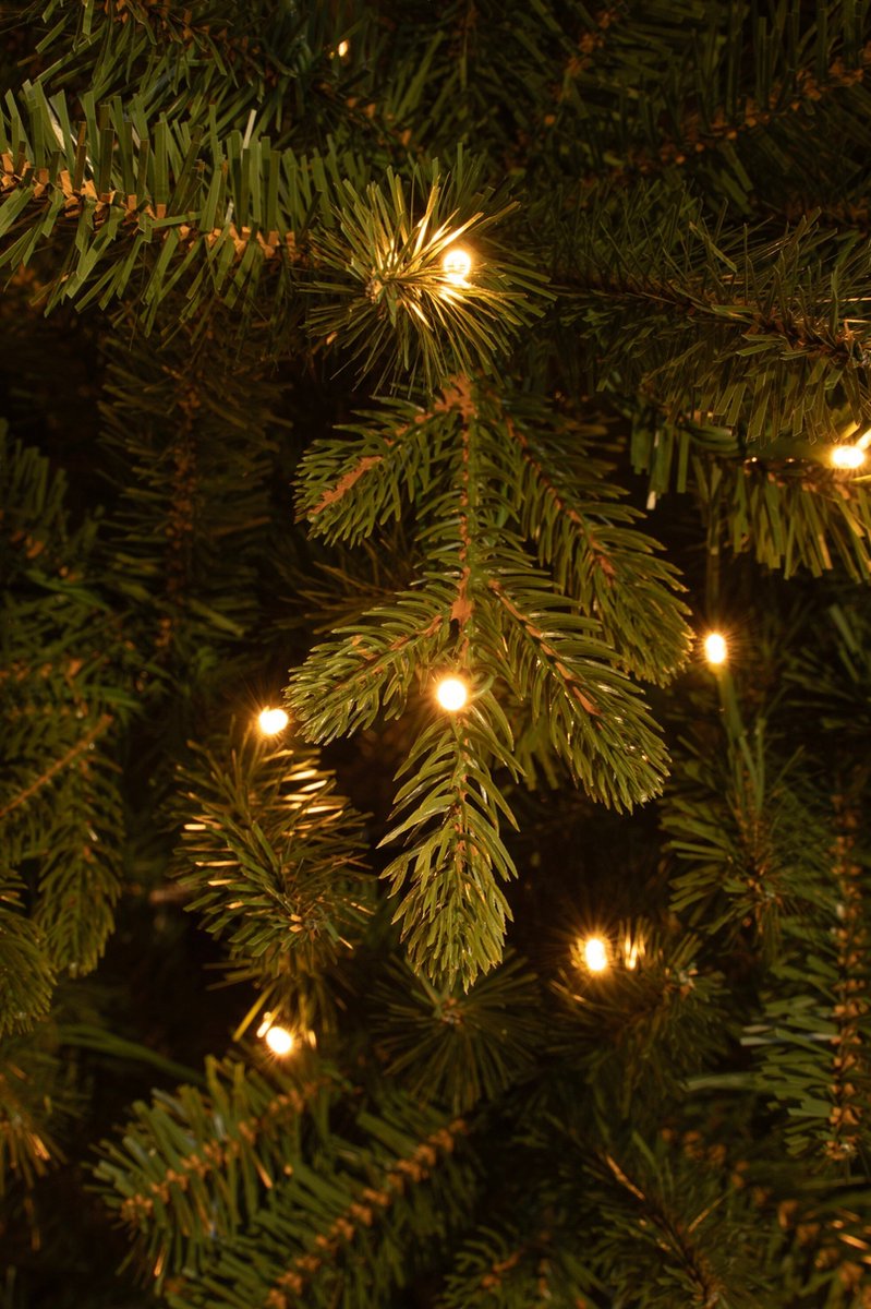 Wat vinden we goed aan de Black Box Trees Harma Kunstkerstboom LED H185xØ63 cm Groen