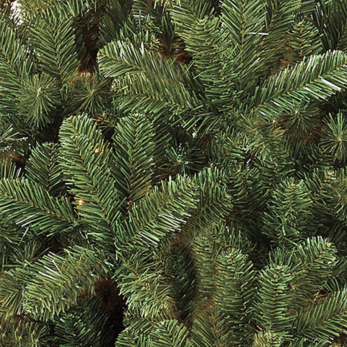 Black Box Trees Kerstboom Canmore H215 D127 groen