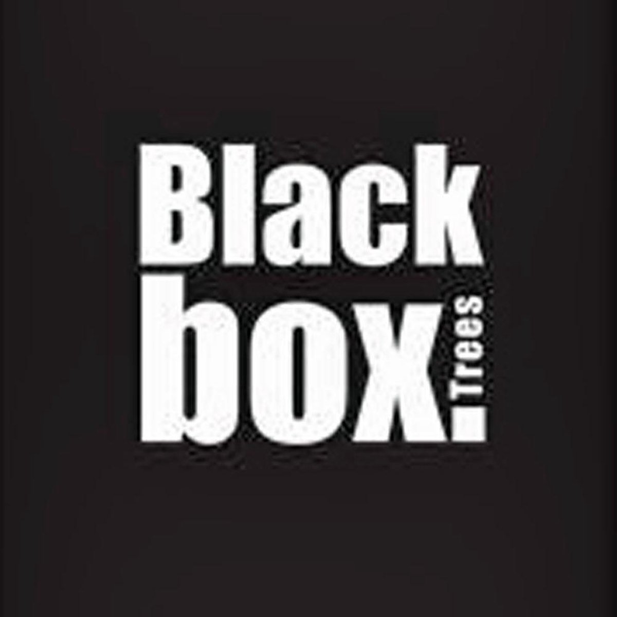 Black Box Trees Kerstboom Canmore H215 D127 groen