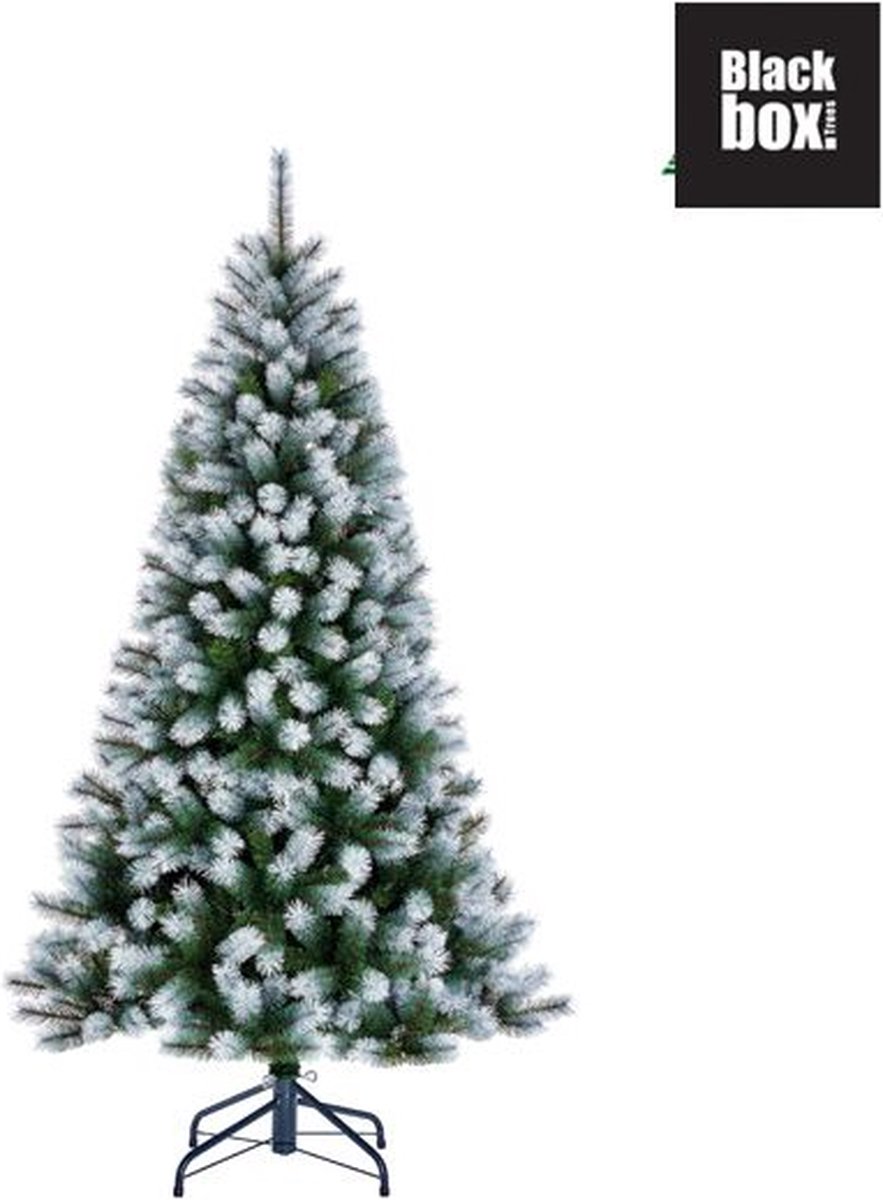 Black Box Trees Kingston Kunstkerstboom 215 cm Frosted Green