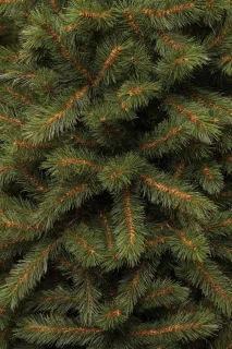 Black Box Trees Kingston Kunstkerstboom 215 cm Groen
