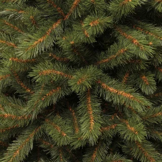 Black Box Trees Kingston Kunstkerstboom 215 cm Groen
