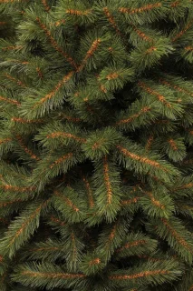 Black Box Trees Kingston Kunstkerstboom H155 Groen