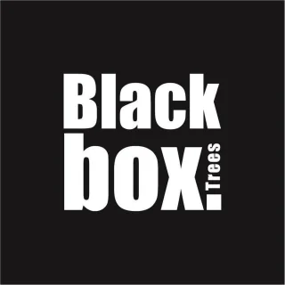 Black Box Trees Kingston Kunstkerstboom H185 Ø102 cm Groen Frosted