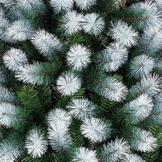 Black Box Trees Kingston Kunstkerstboom H185 Ø102 cm Groen Frosted