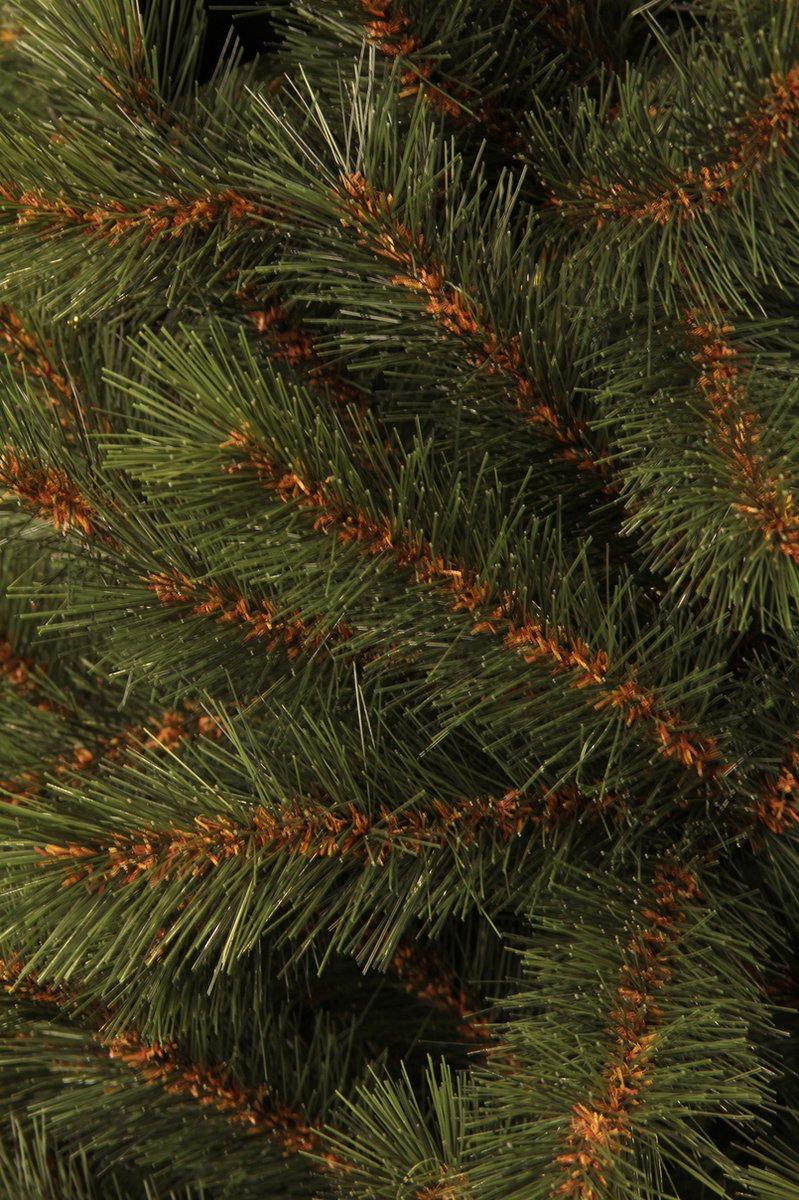 Wat vinden we goed aan de Black Box Trees Kingston Kunstkerstboom H230 Groen