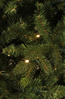 Black Box Trees Macallan Kunstkerstboom