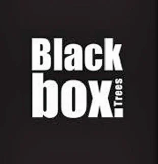 Black Box Trees Macallan Kunstkerstboom