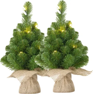 Black Box Trees Mini kunstkerstbomen set van 2 - 30 cm