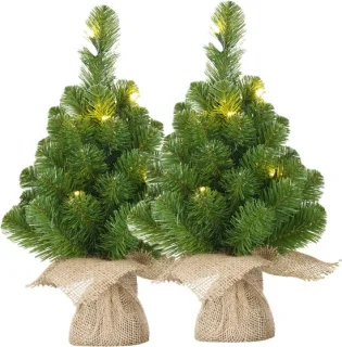 Black Box Trees Mini kunstkerstbomen set van 2 - 30 cm