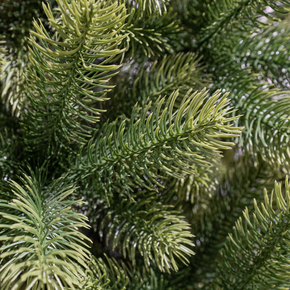 Black Box Trees Nagoya Kunstkerstboom 240 cm Groen