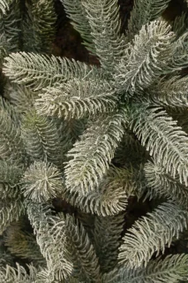 Black Box Trees Nagoya Kunstkerstboom H120 Groen Frosted