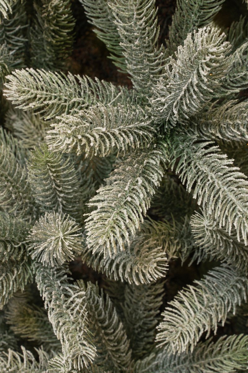 Black Box Trees Nagoya Kunstkerstboom H150 Groen Frosted