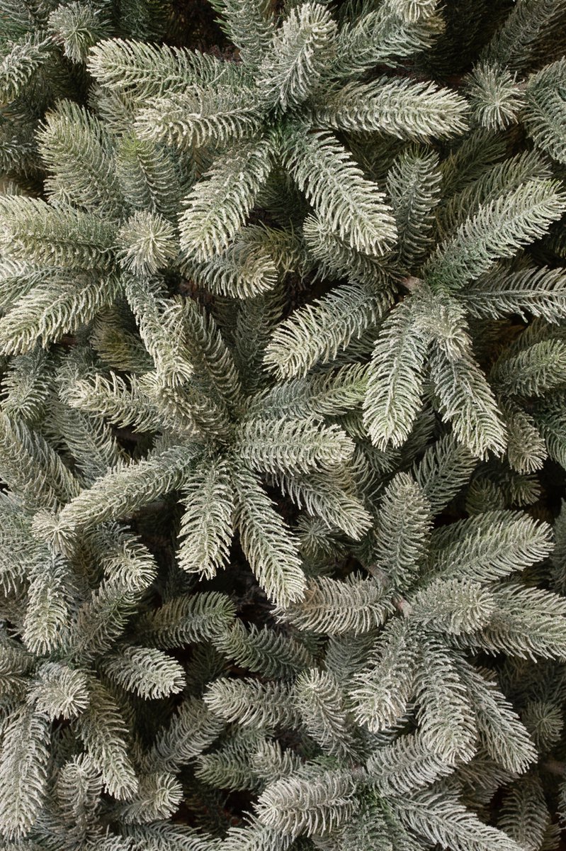 Black Box Trees Nagoya Kunstkerstboom H150 Groen Frosted