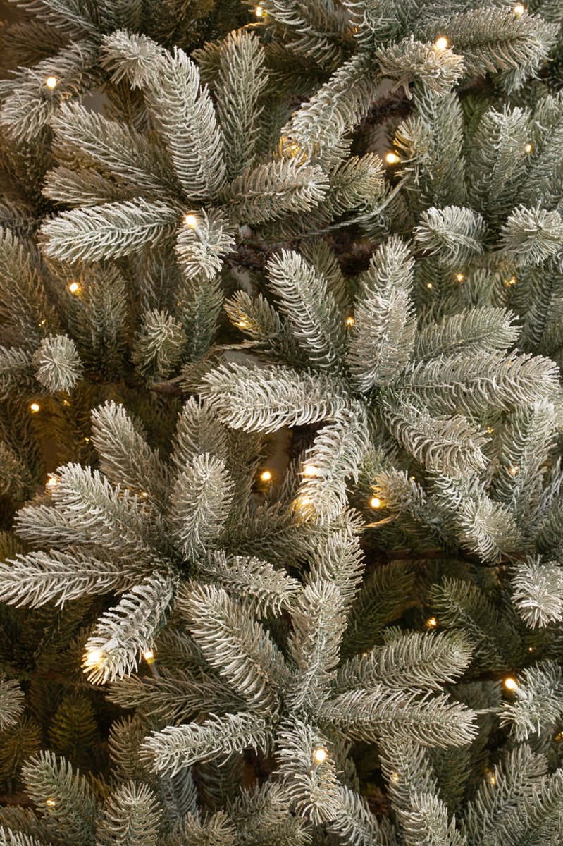 Black Box Trees Nagoya Kunstkerstboom H180 x Ø108 cm Groen Frosted