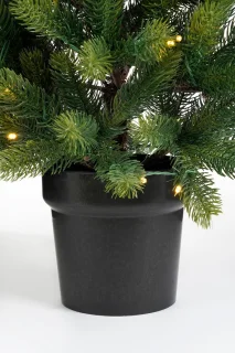 Black Box Trees Nagoya Set - 2 Kerstbomen en 1 Kerstkrans